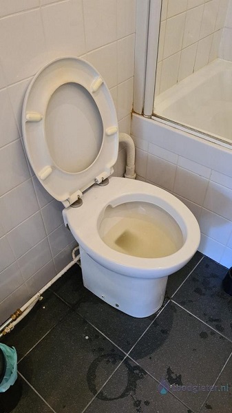  verstopping toilet Bergambacht
